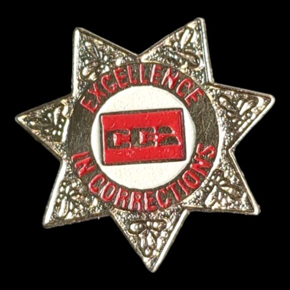 Corrections Corporation Of America Tennessee Keychain and 2 Unique Pins Lapel - Picture 5 of 8